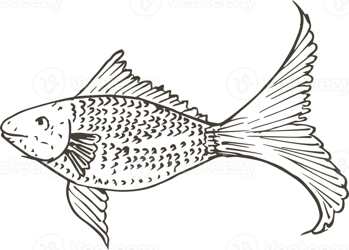 Hand drawn fish on transparent background. png
