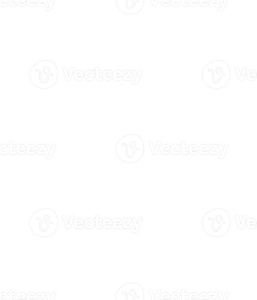 Hand drawn broccoli on transparent background. png