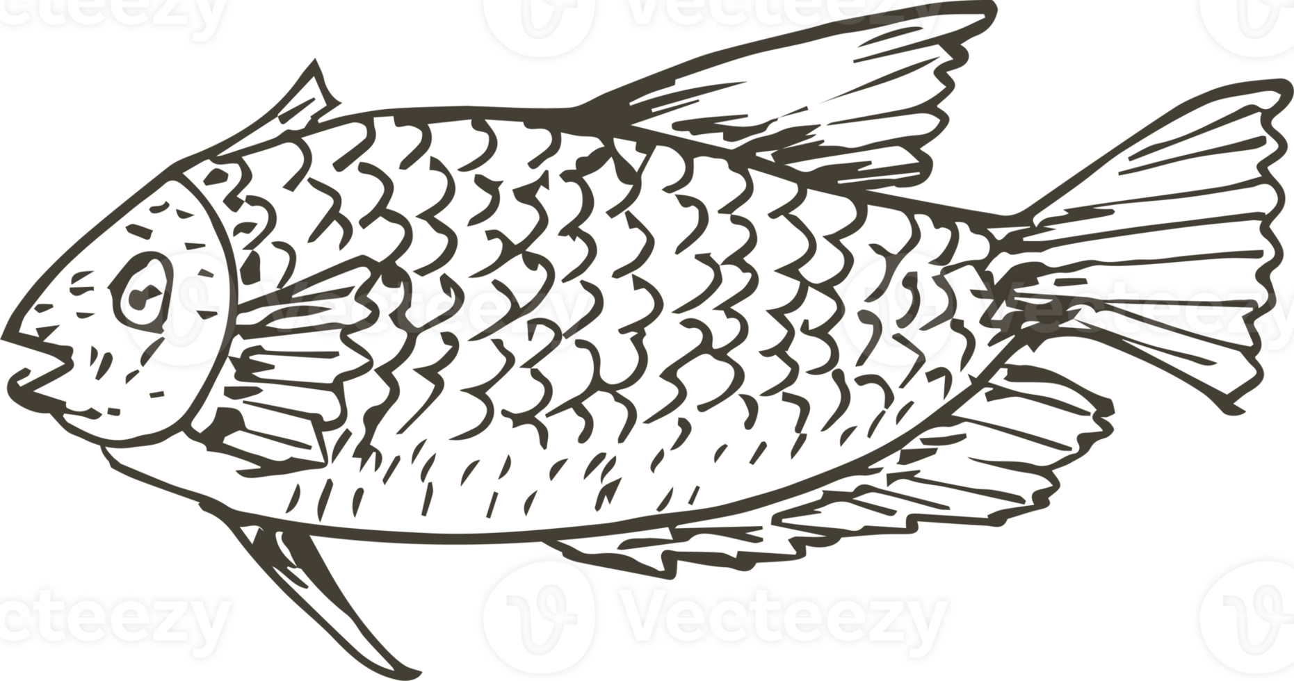 Hand drawn fish on transparent background. png