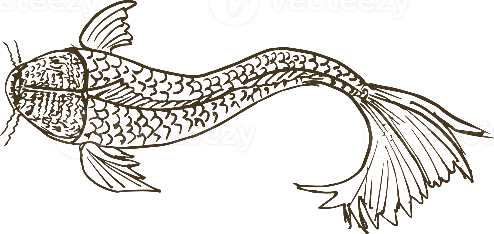 Hand drawn fish on transparent background. png
