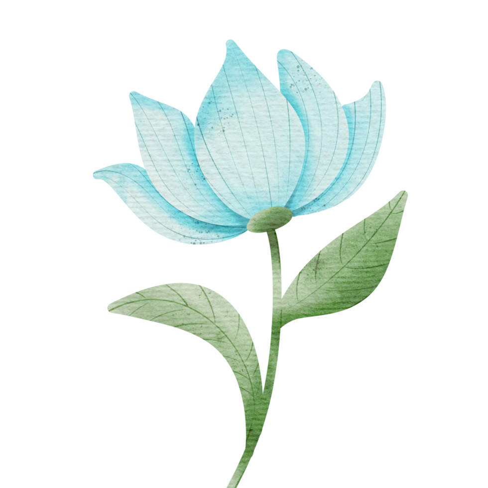 waterverf blauw bloem illustratie png