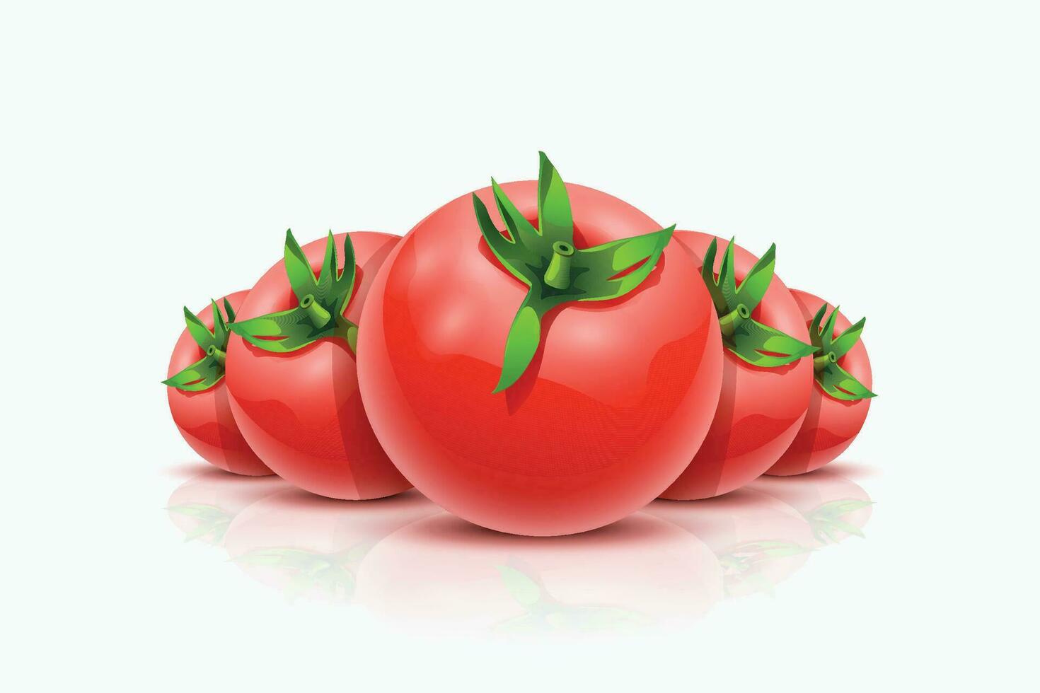 tomates acostado en blanco vector