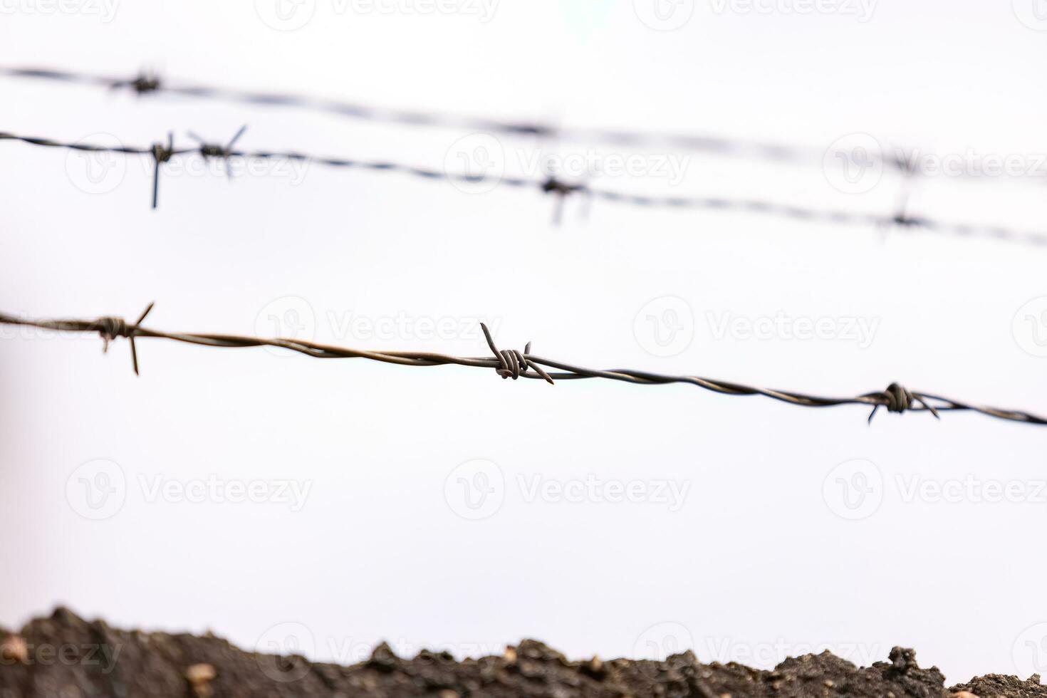 barbed wire on top of a fence photo