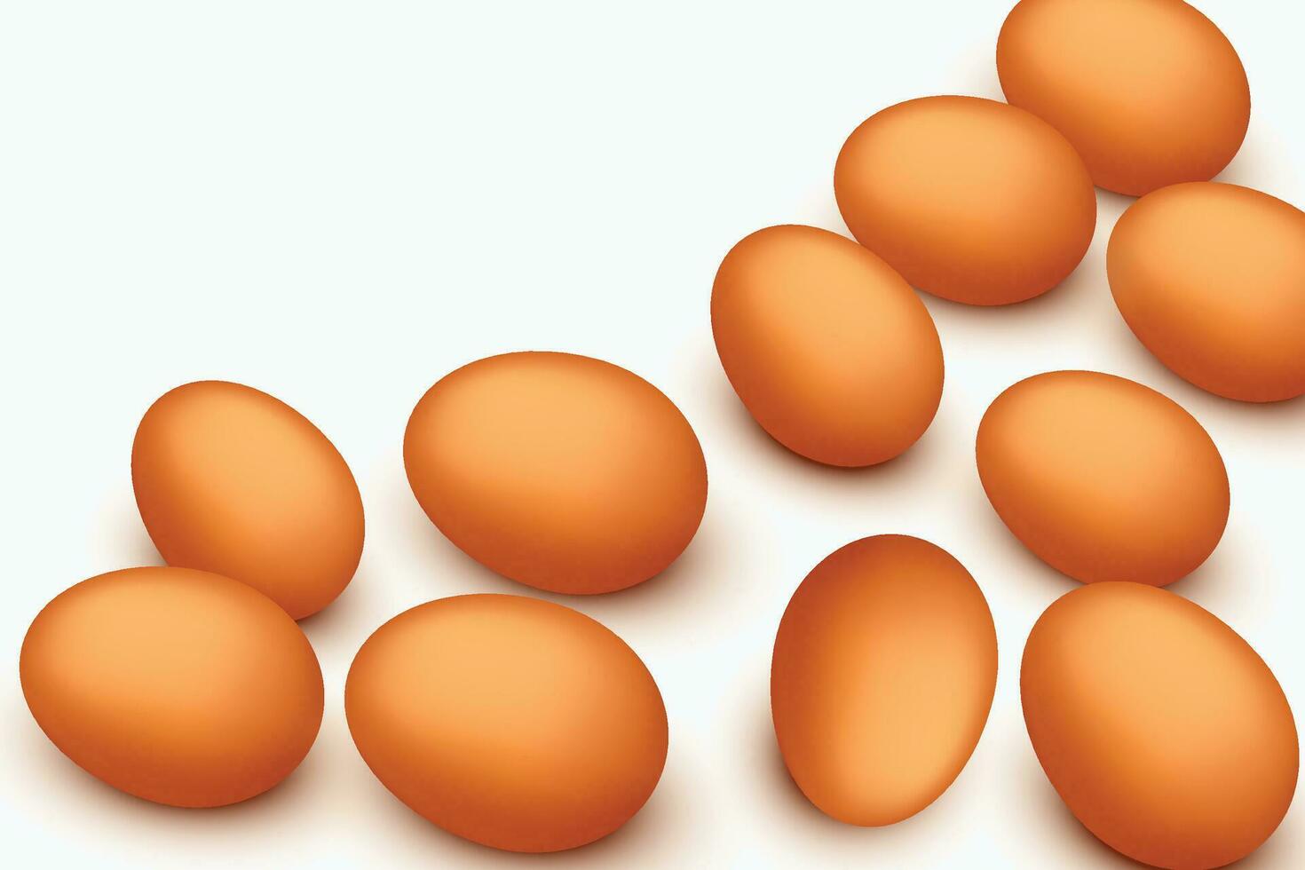 eggs on white vector