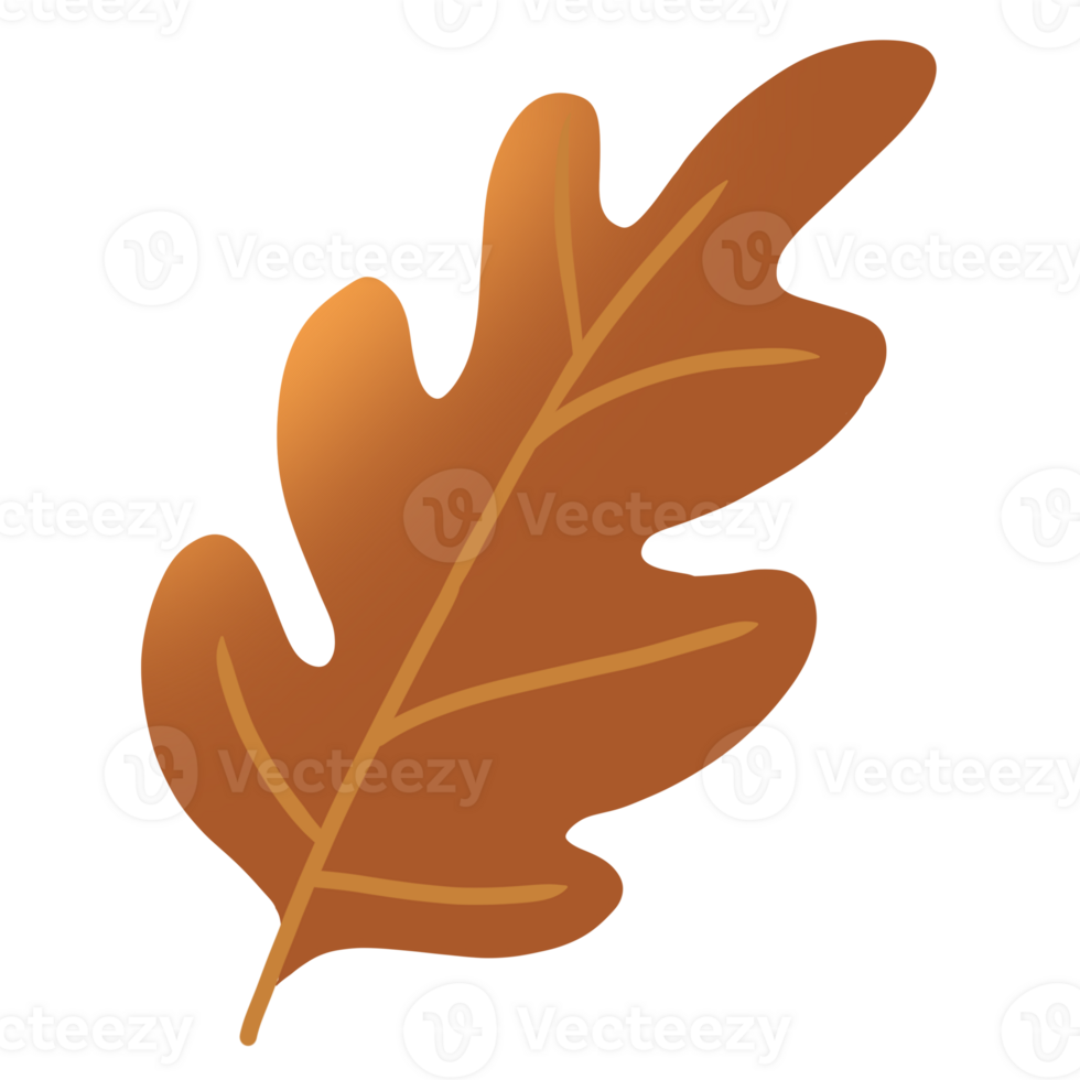 autumn leaves element png