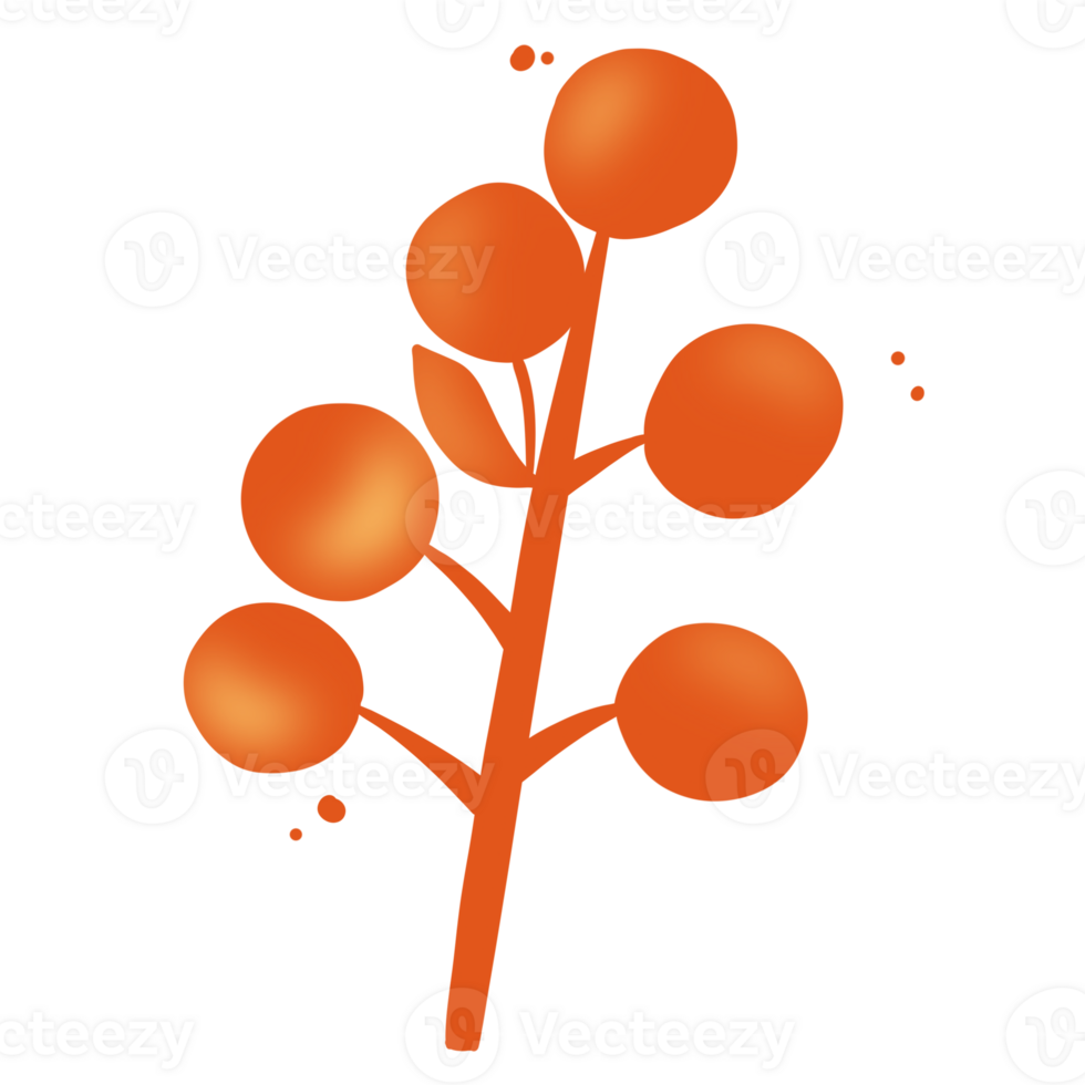 autumn leaves element png