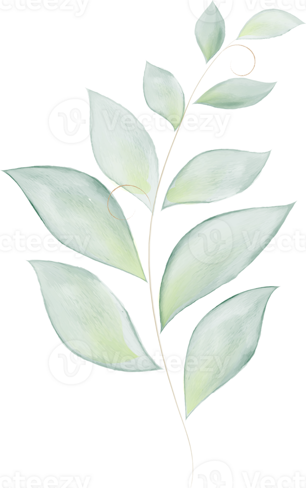 Green Leaves Branch Watercolor png