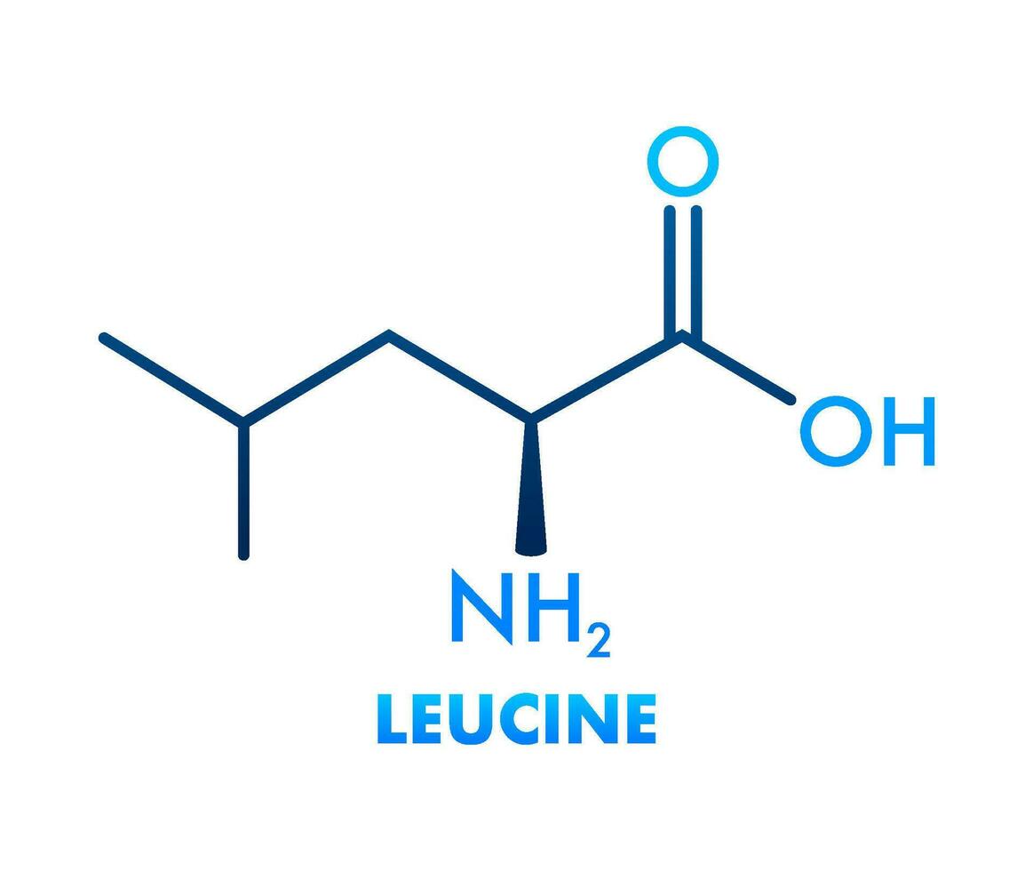 Icon with leucine formula. Essential Amino Acid molecular formula. vector
