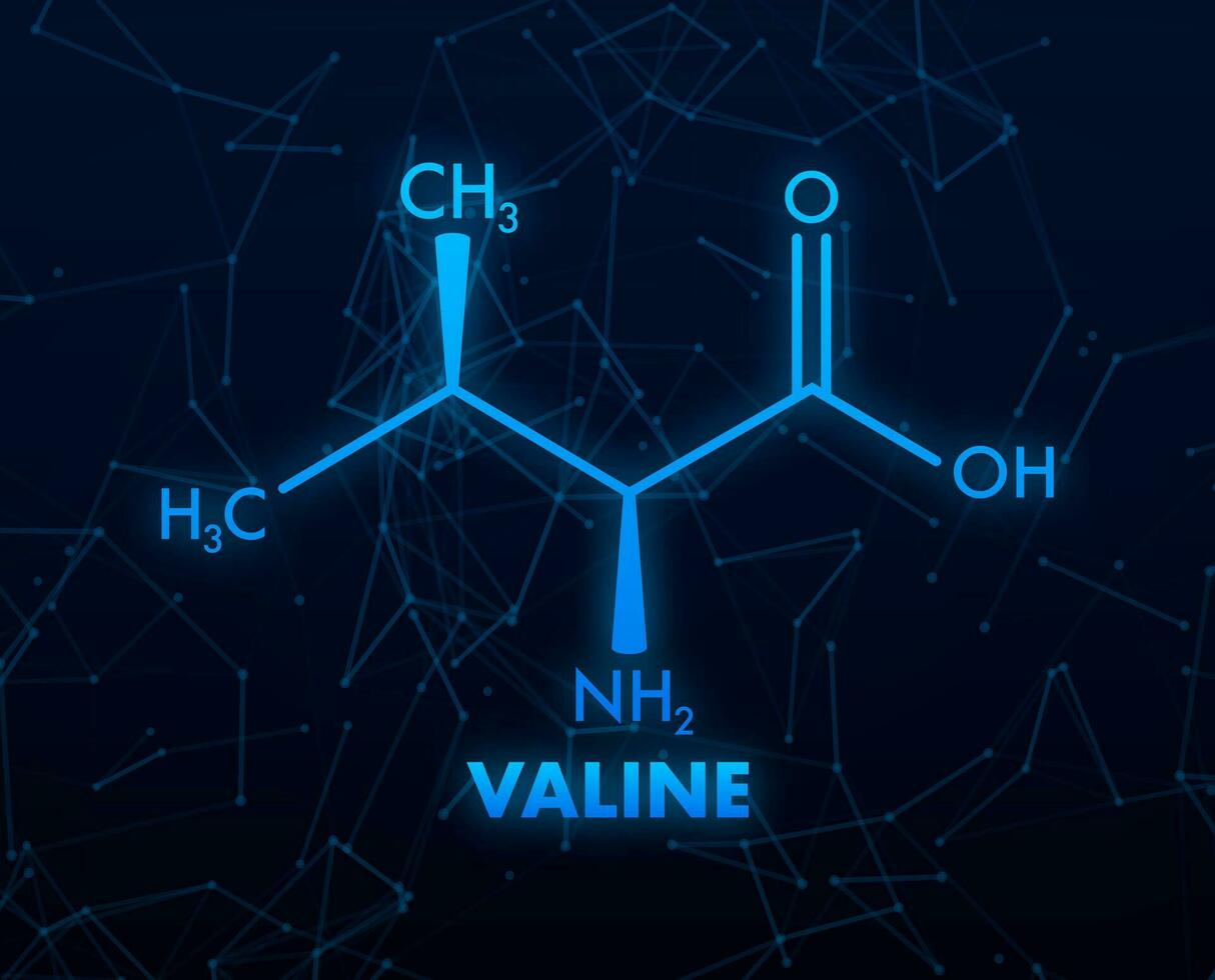 Valine formula for medical design. Valine formula, great design for any purposes. vector