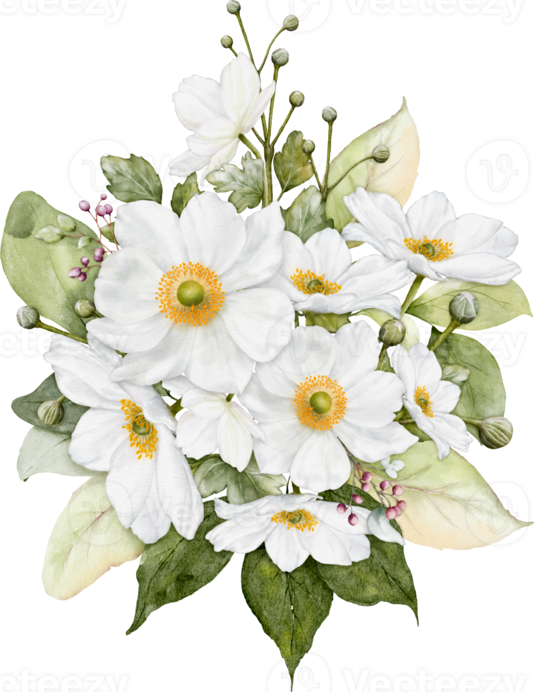 Watercolor bouquet of white flowers png