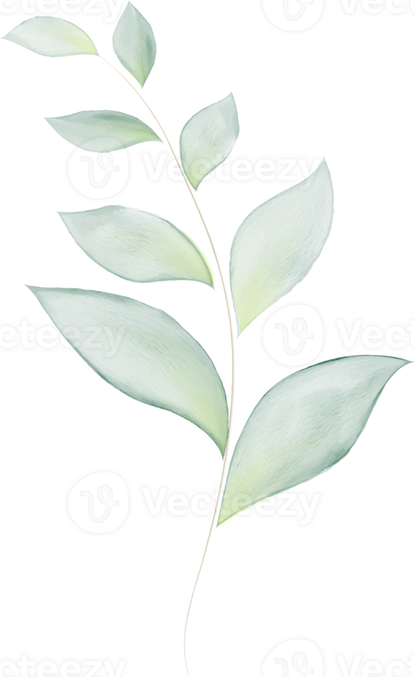 Green Leaves Branch Watercolor png