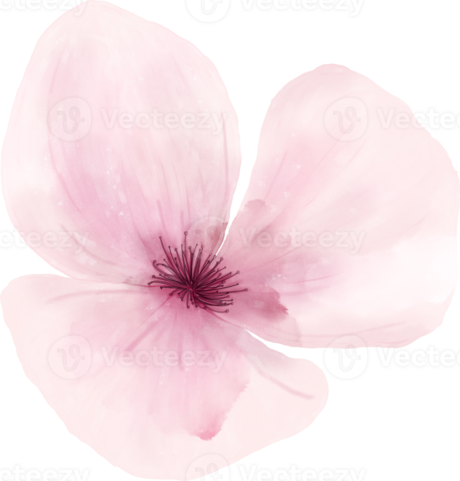 Aquarell Blumen Elemente png