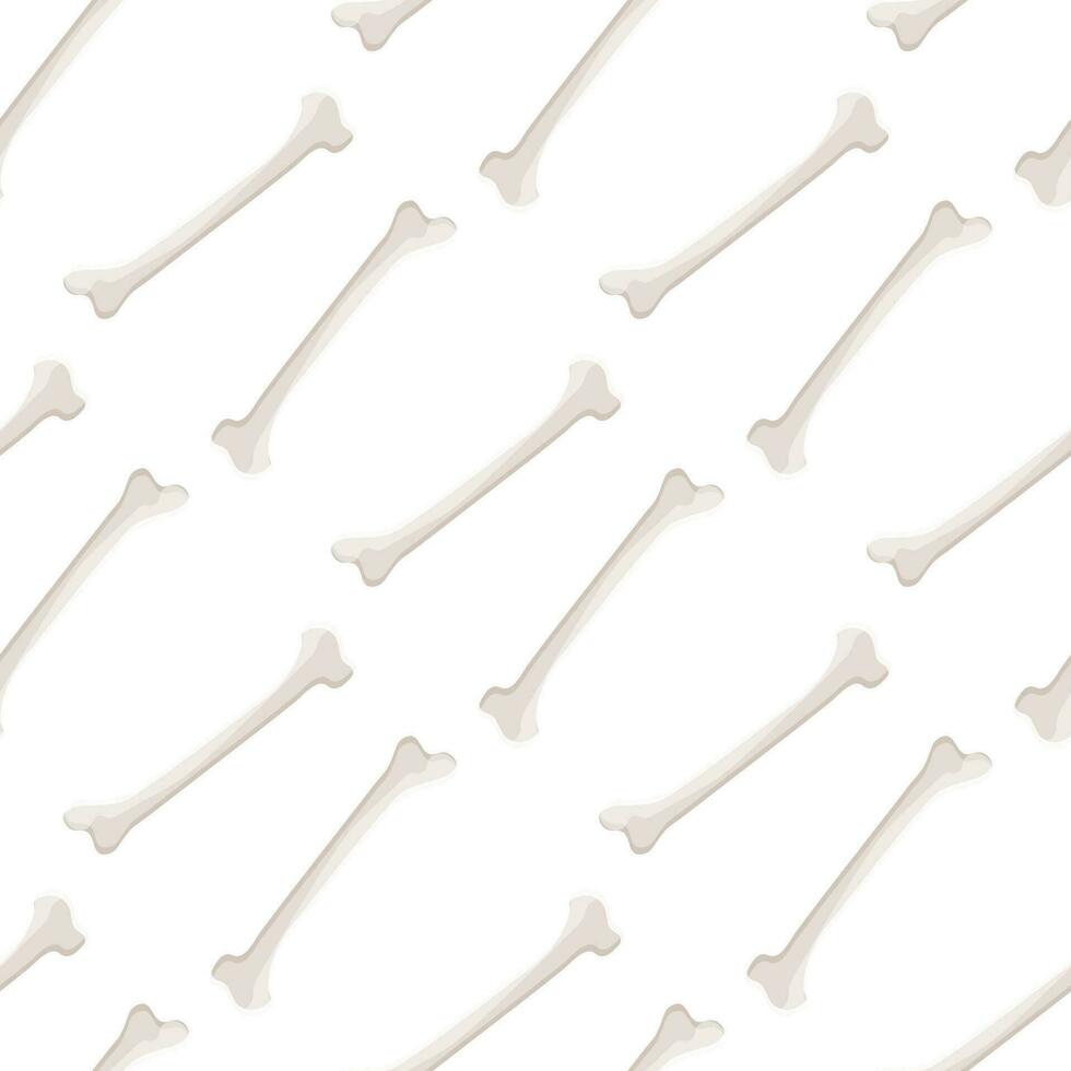 Seamless pattern  bone on white background. vector
