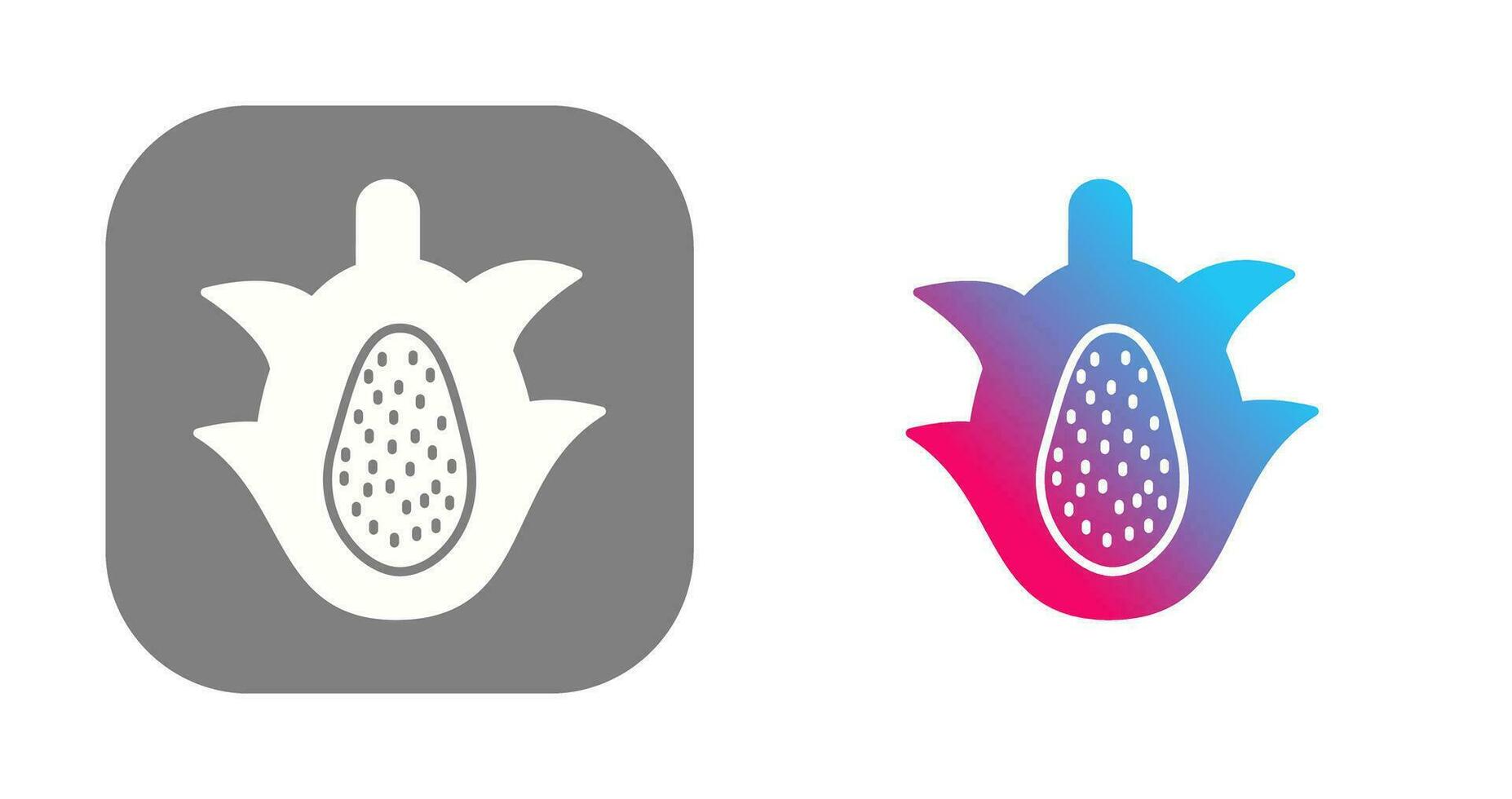 Dragon Fruit Vector Icon