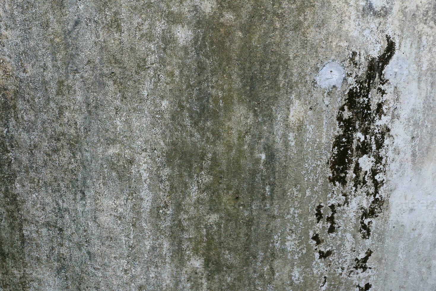 Empty very old brick wall Texture, Leaves lichen algae Moss tree at wall Cracked sesame , at temple historic archaeological site. selective focus photo