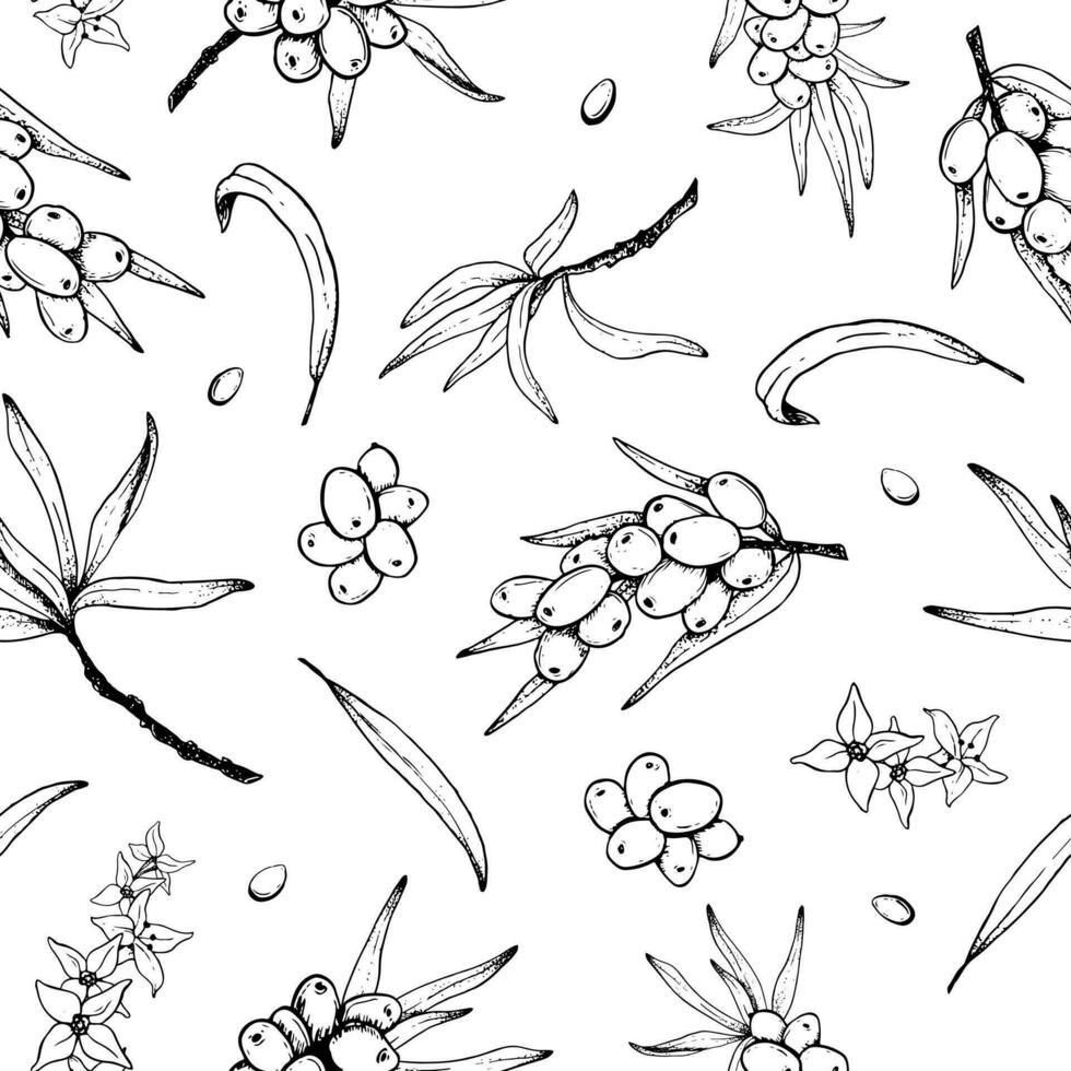 Sea buckthorn outline vector seamless pattern with sea berries, branches and leaves. Hand drawn black and white background for printing, textiles, natural cosmetics and package design