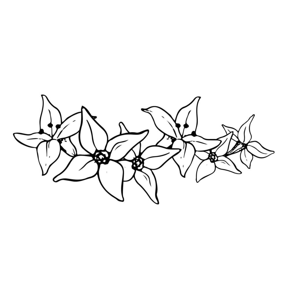 Vector graphic flower garland of sea buckthorn floral banner illustration. Black and white graphic plant drawing in simple minimalist style.