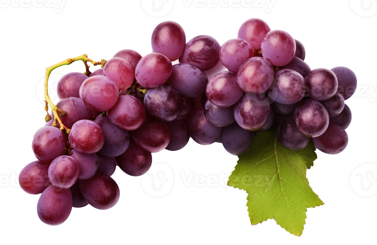 Fresh Grapes Isolated on transparent Background, Vibrant and Juicy Grape Cluster, ai generative png