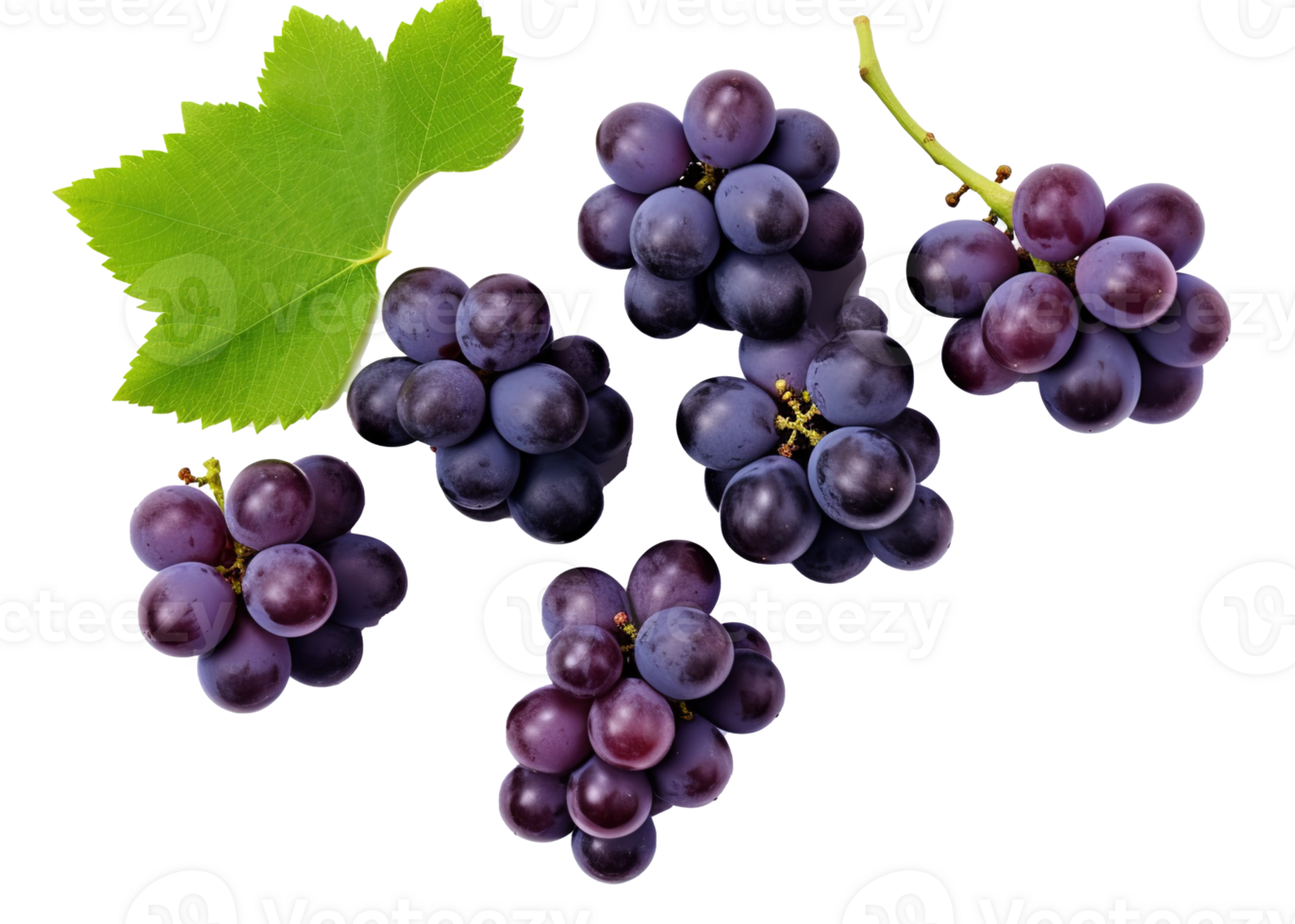 Fresh Grapes Isolated on transparent Background, Vibrant and Juicy Grape Cluster, ai generative png