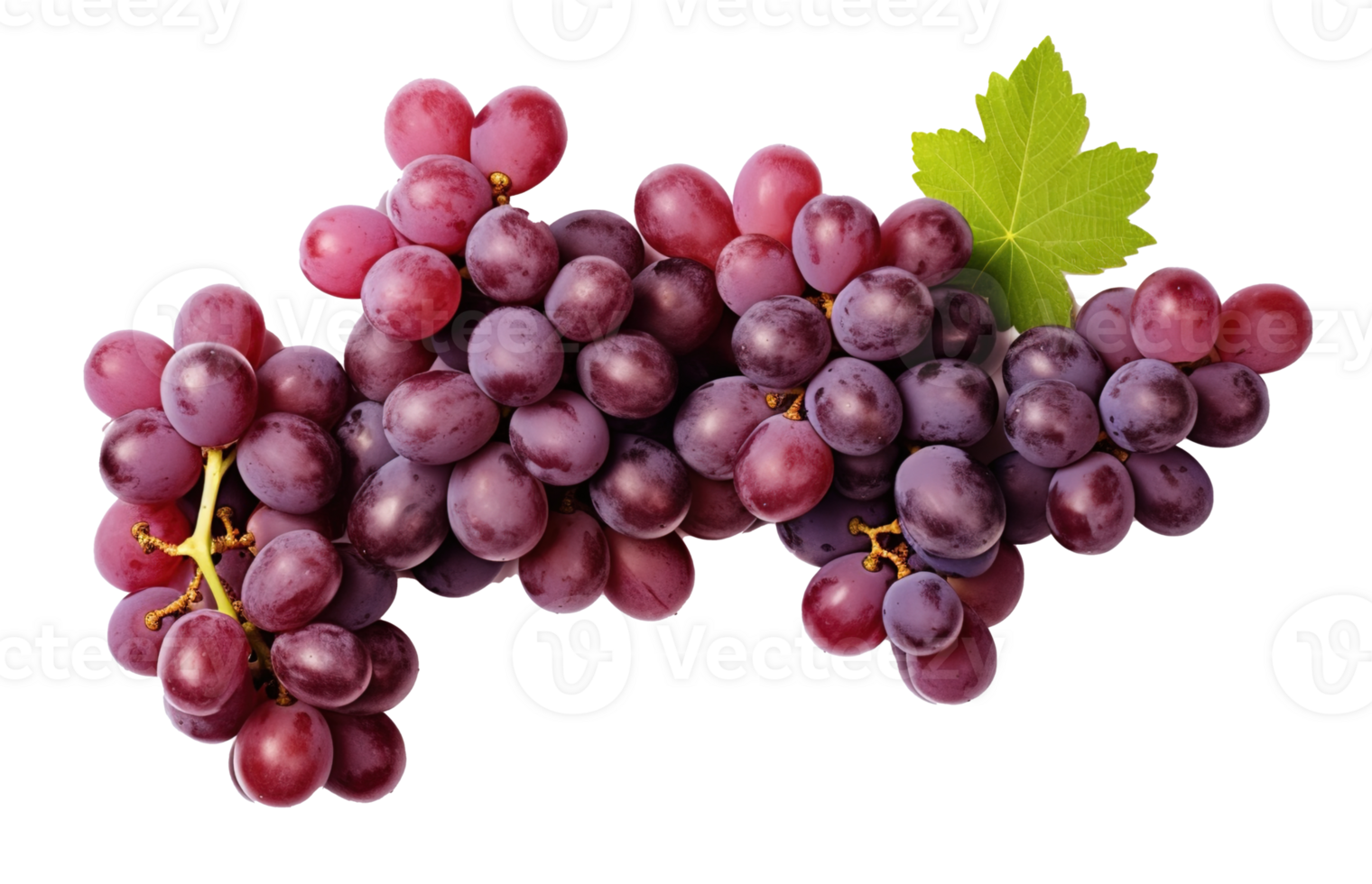 Fresh Grapes Isolated on transparent Background, Vibrant and Juicy Grape Cluster, ai generative png