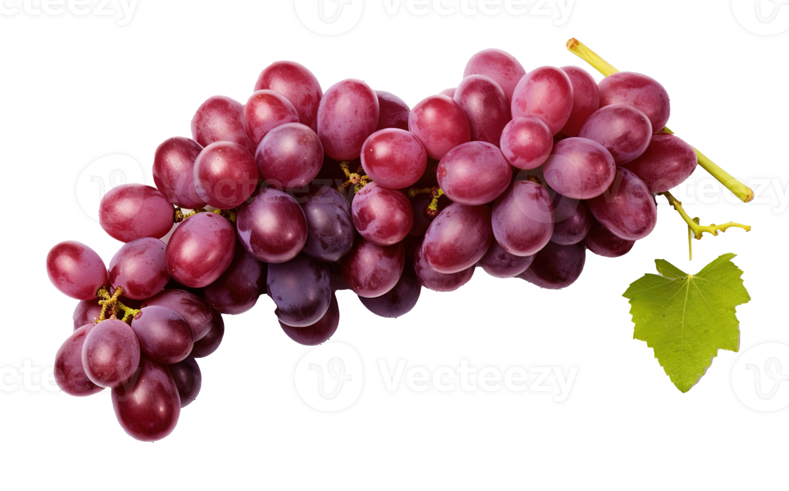 Fresh Grapes Isolated on transparent Background, Vibrant and Juicy Grape Cluster, ai generative png