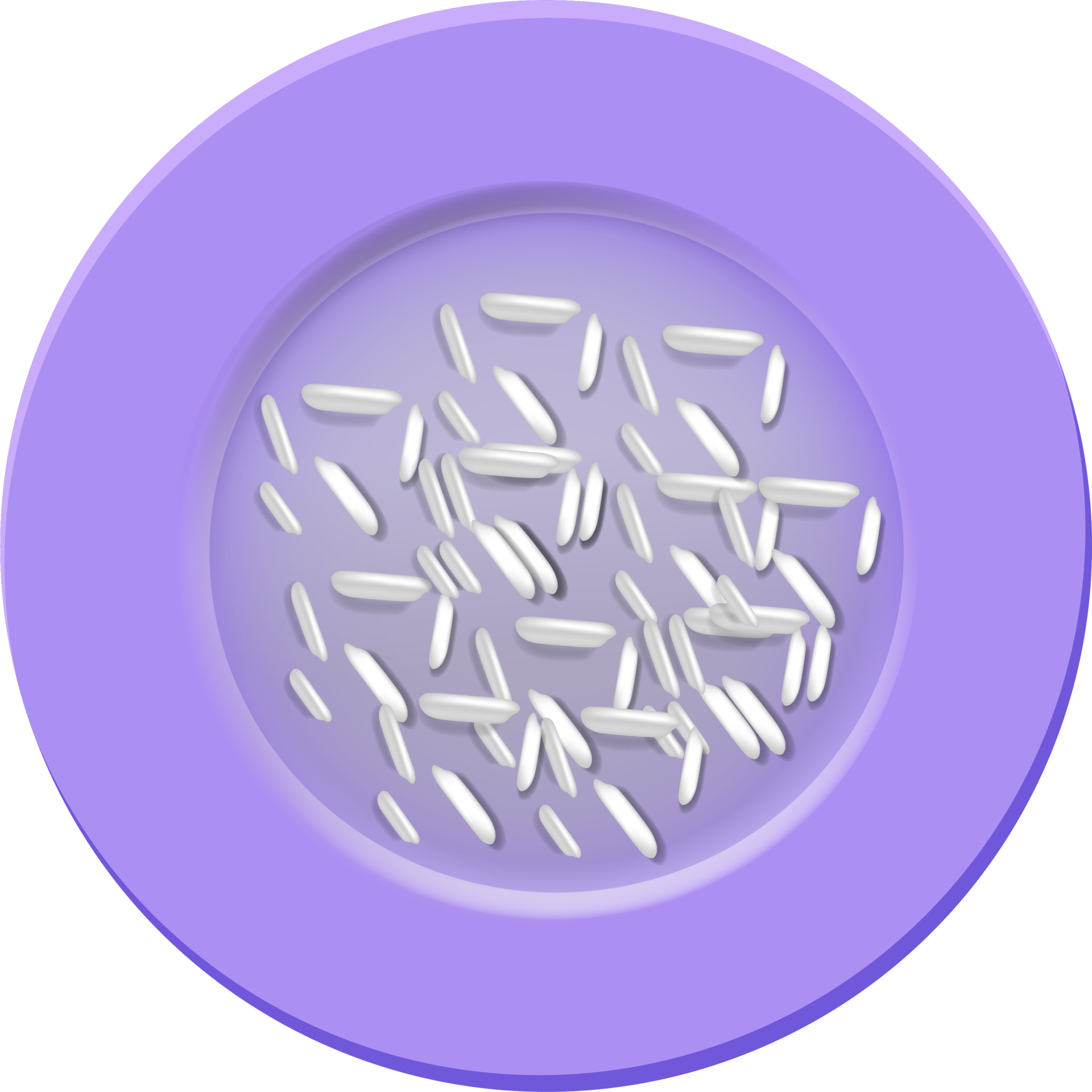 rice with plate illustration, rice grain, vegetarian, healthy food