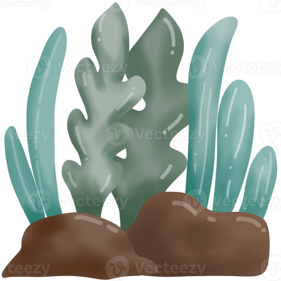watercolor of corals png