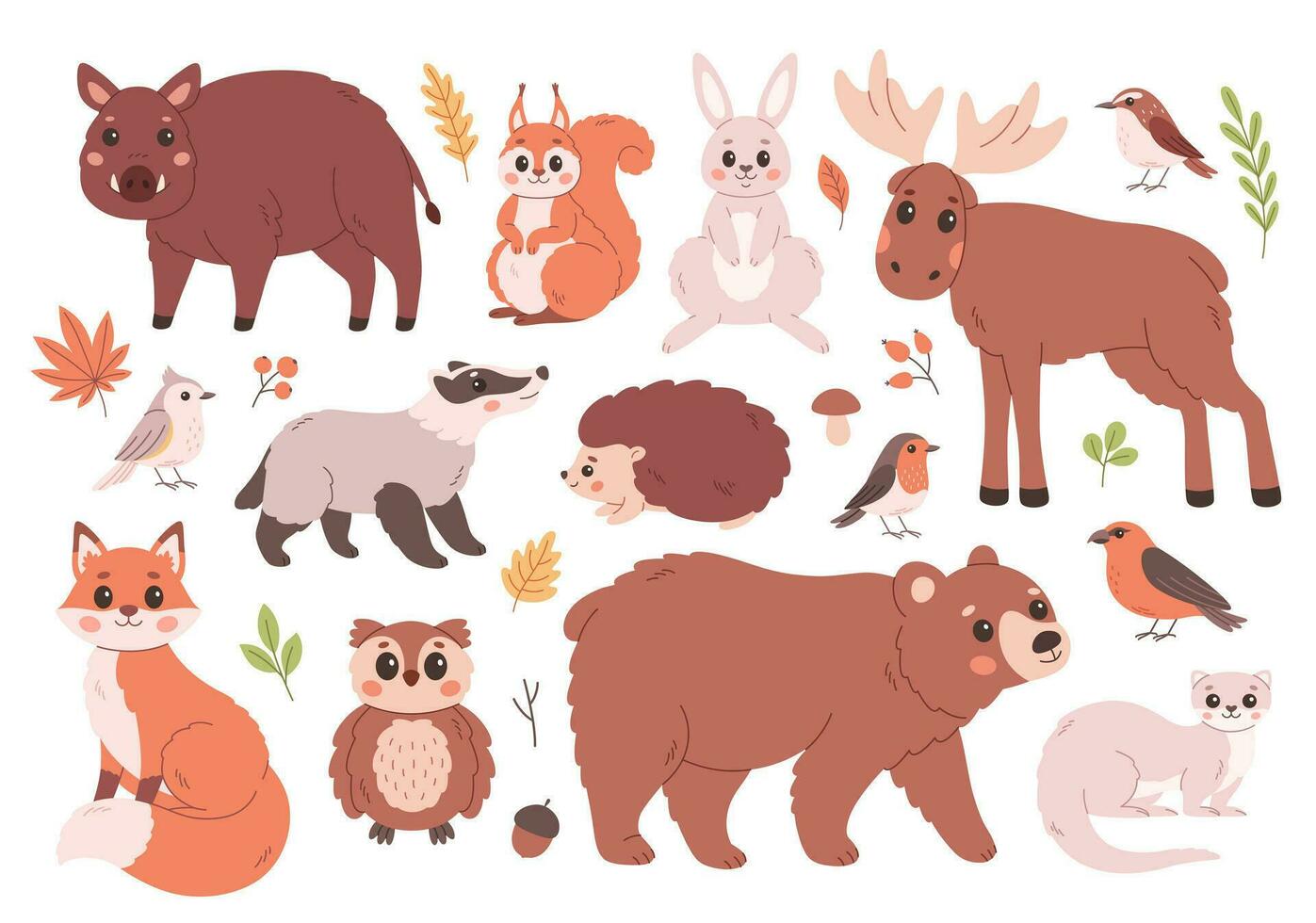 Forest animals. Bear, fox, hare, elk, badger, boar, owl, ferret, hedgehog. Woodland birds and plants. Woods inhabitants vector