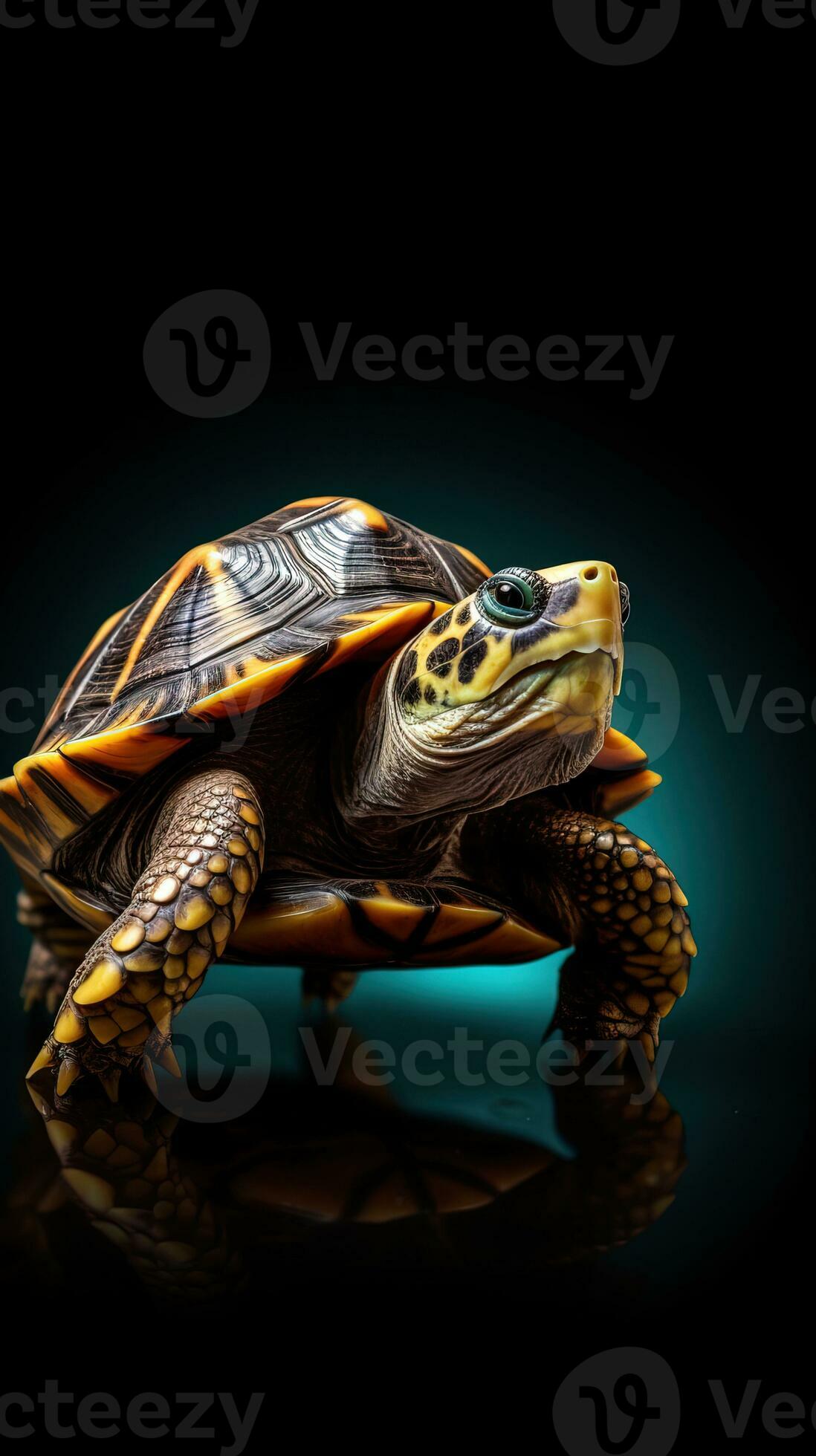 Minimalist Turtle on Dark Background Generative AI 29971023 Stock Photo