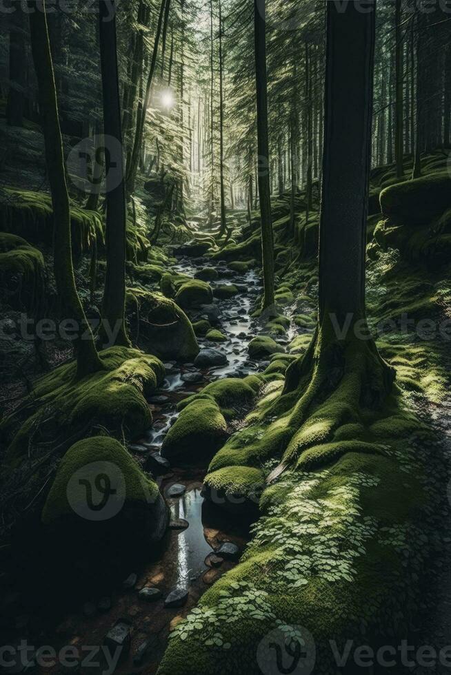 Tranquil Forest with Swaying Trees and Sun Rays photo