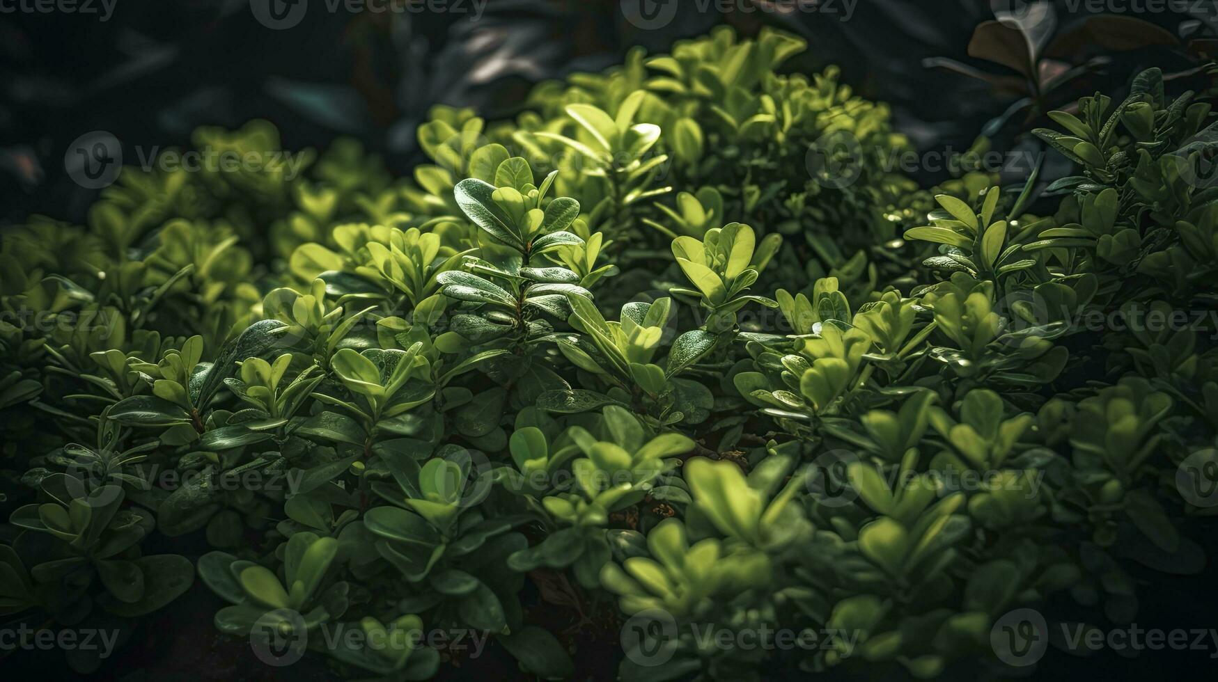 Lush Greenery Background for Cinematic Compositions with Fine Detail photo
