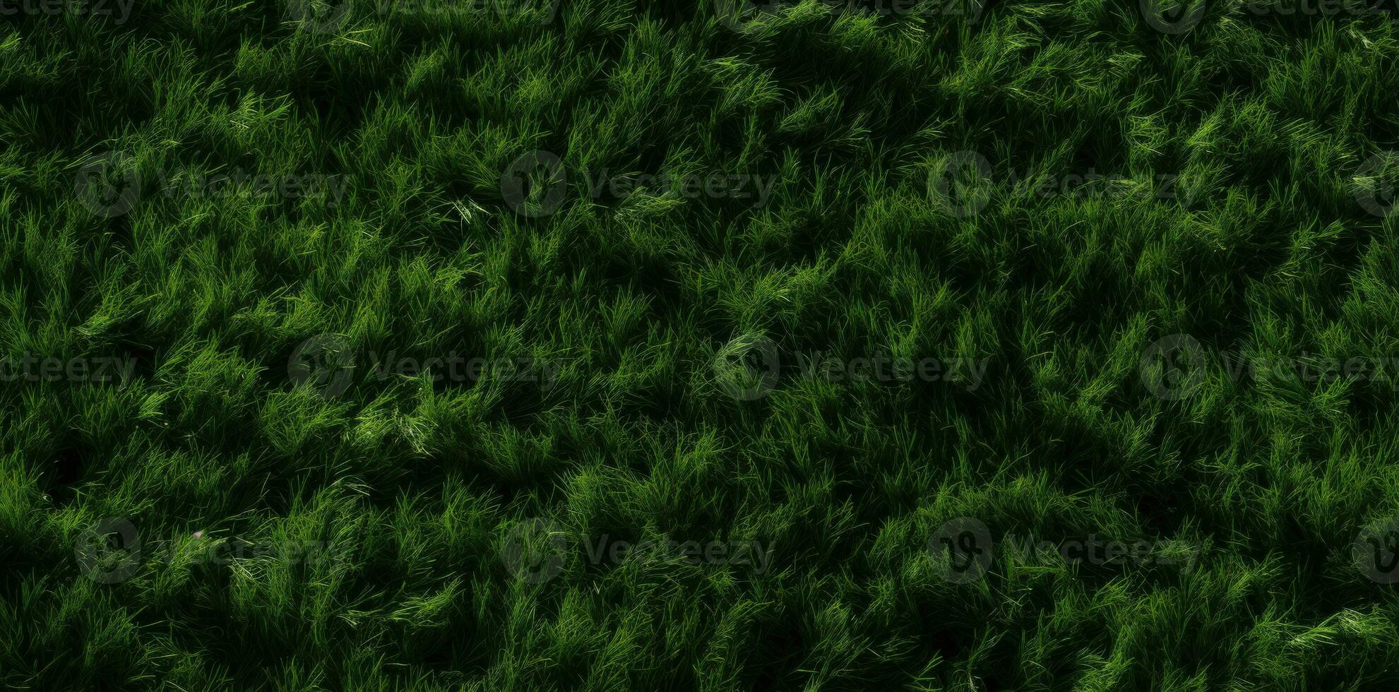 Lush Green Artificial Turf in a Natural Grassy Background photo
