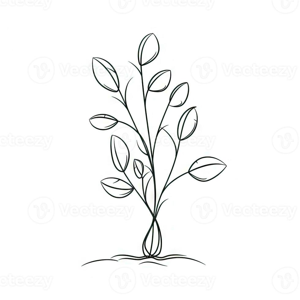 Continuous Line Drawing of a Growing Plant with Simple Linear Style photo