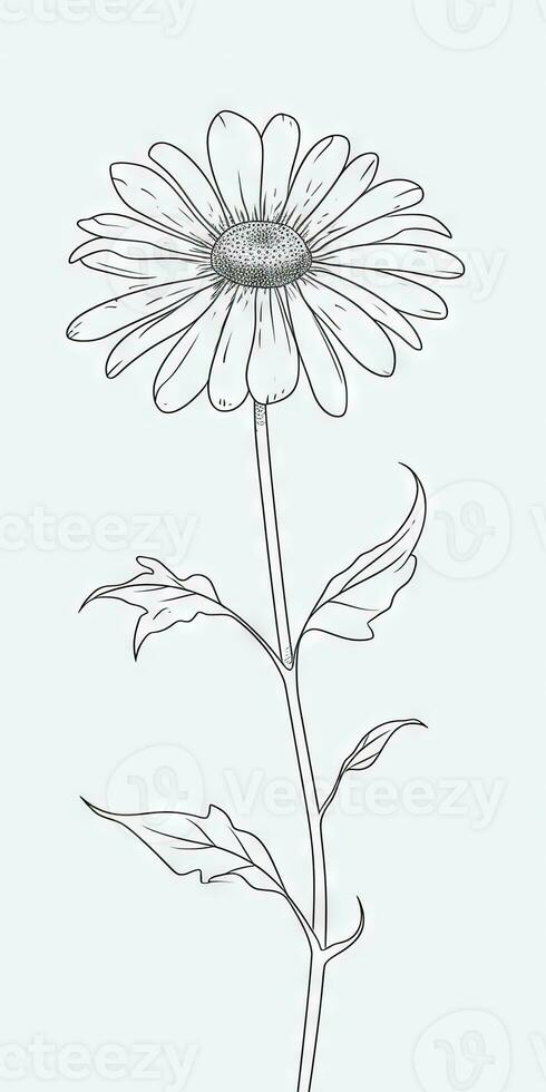 Simple Daisy Flower Doodle on White Background photo
