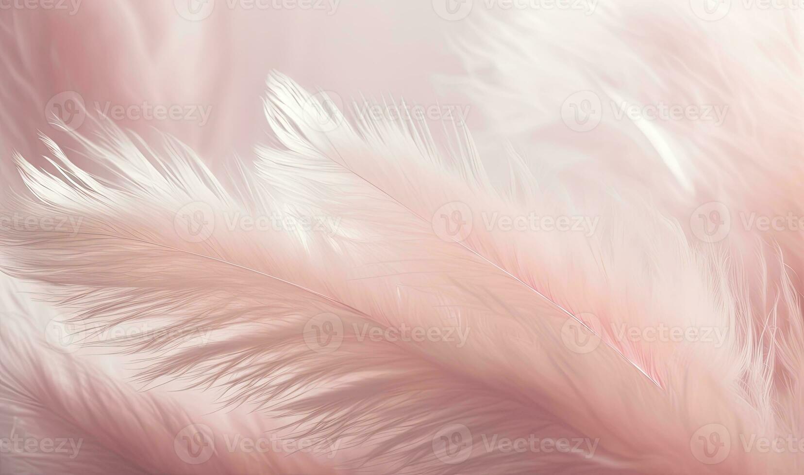 Soft Pink Feathers Texture Background with Swan Feather as Dreamy Accent photo