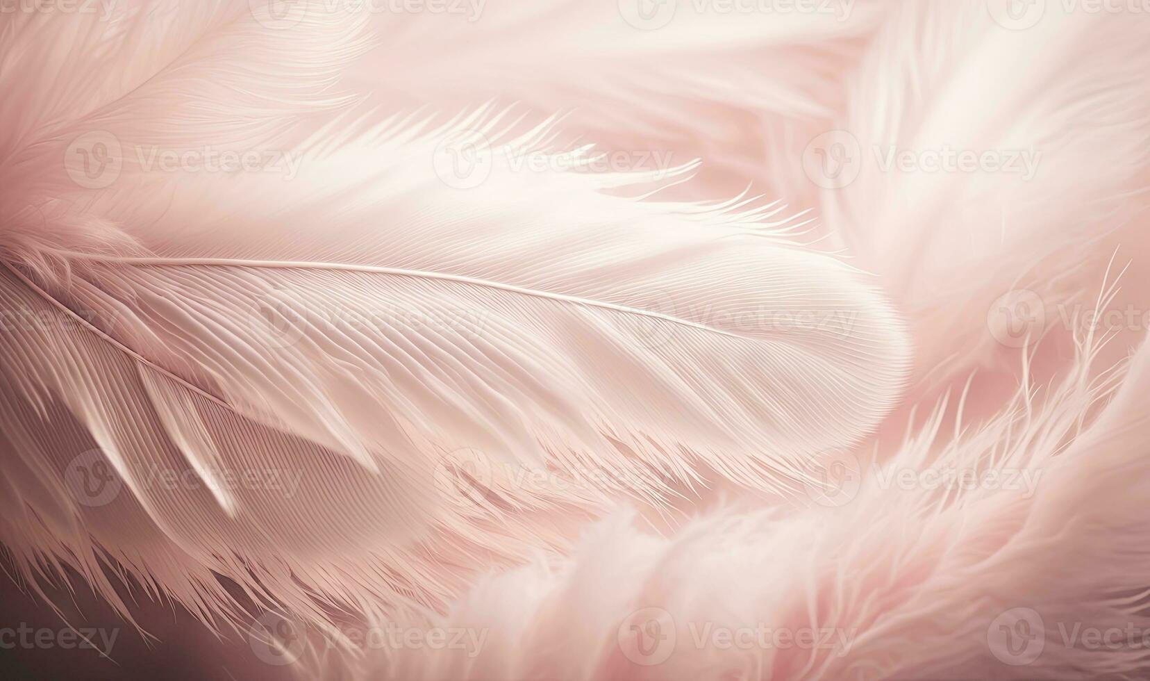 Soft Pink Feathers Texture Background with Swan Feather as Dreamy Element photo