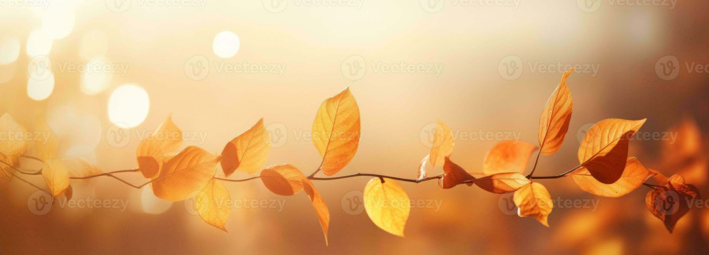 Autumn Leaves and Bokeh Background AI Generated photo