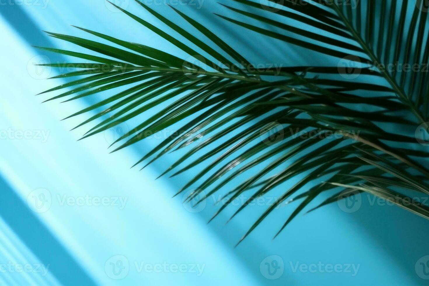 Minimal Abstract Background with Blurred Shadow of Palm Leaves on Light Blue Wall photo