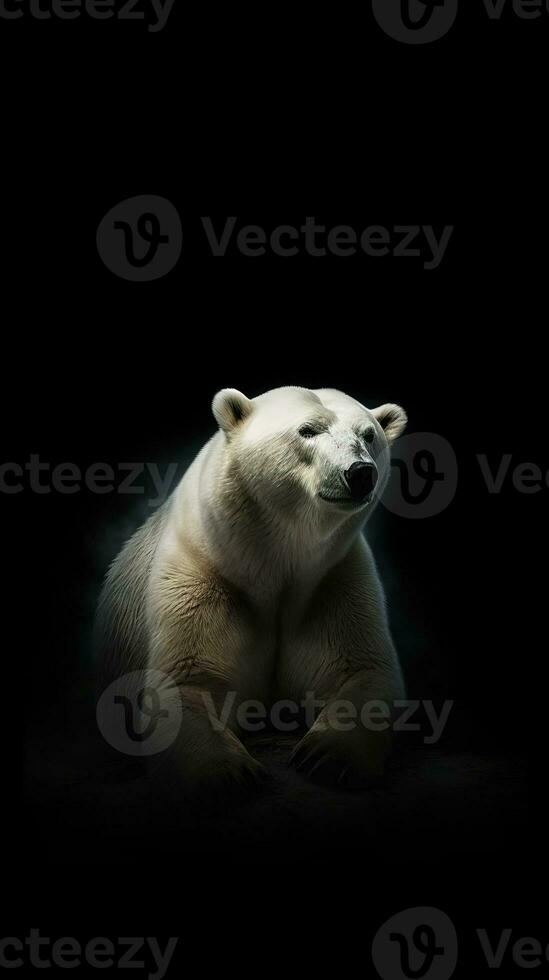 Minimalist Polar Bear on Dark Background Generative AI 29986208 Stock