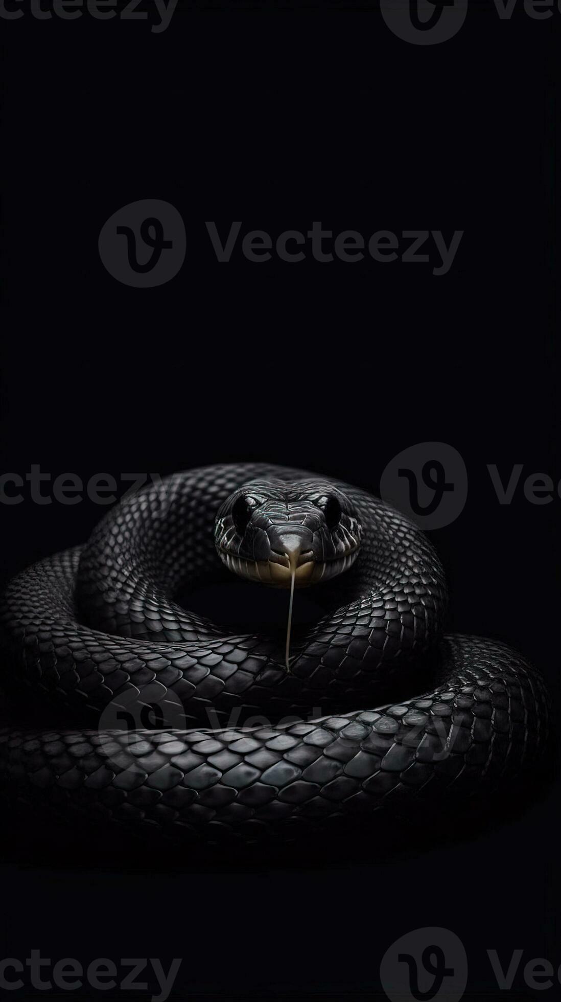 Minimalist Snake on Dark Background Generative AI 29986832 Stock Photo