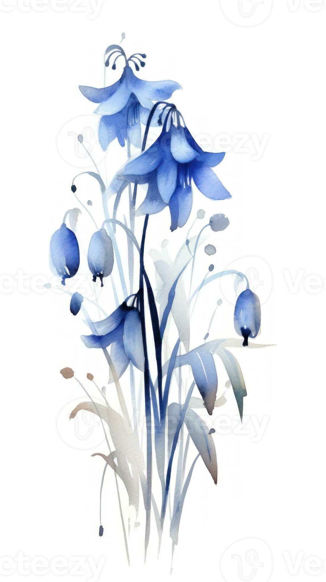 Dreamy Bluebell Collection on Isolated Watercolor Background in Modern