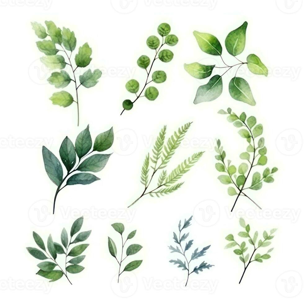 Green Leaf Watercolor Floral Illustration Set for Wedding Stationery and Greetings Generative AI photo