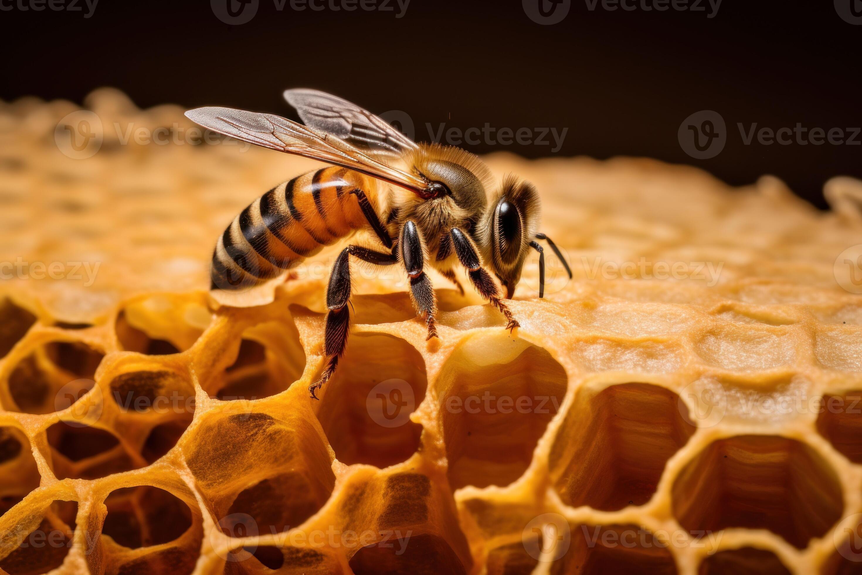 Bee Crawling Up Organic Texture AI Generated 29989744 Stock