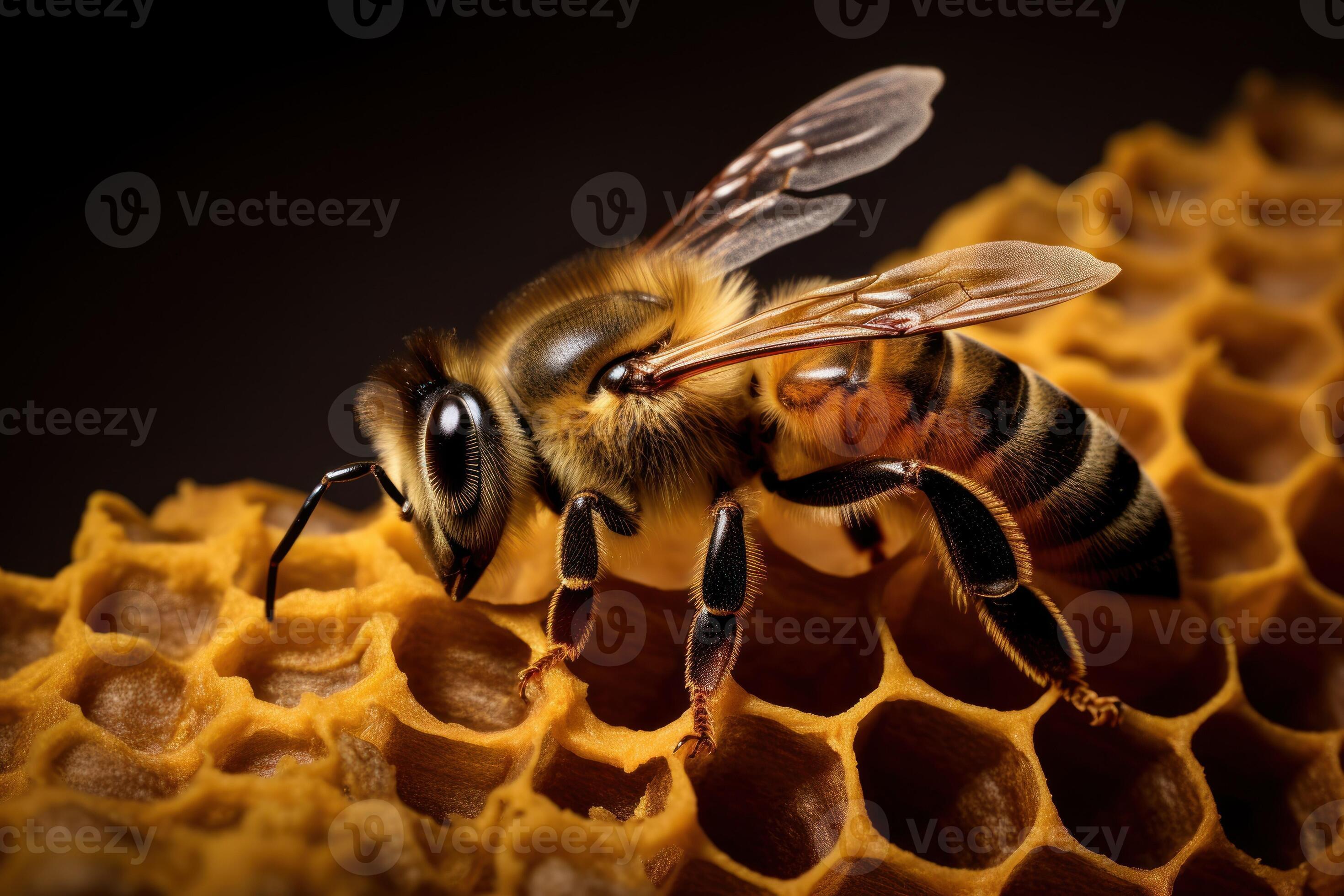 Bee Crawling Up Organic Texture AI Generated 29989746 Stock