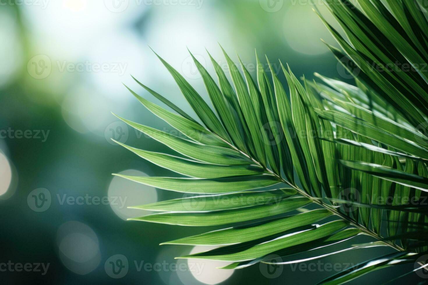 Closeup of Green Palm Leaf in Nature AI Generated photo