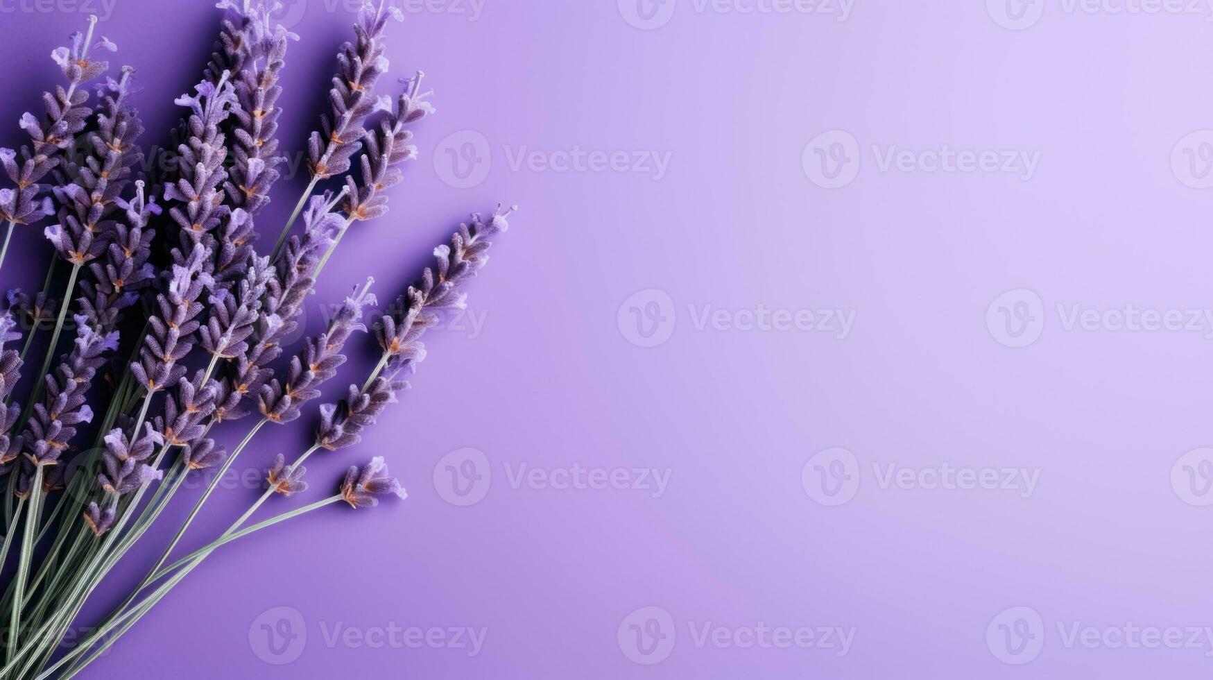 Top View of a Beautiful Single Lavender Flower AI Generated photo