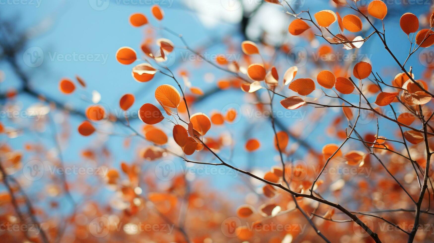 Vibrant Autumn Background Captivating Wormseye View Photography AI Generated photo