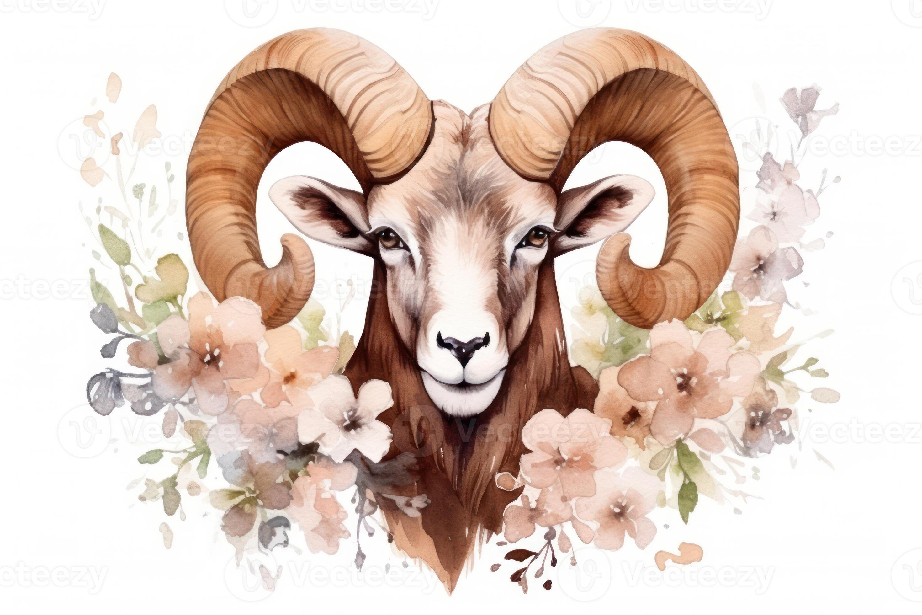 Watercolor Painting of Aries Zodiac Sign in Botanical Style on Pure