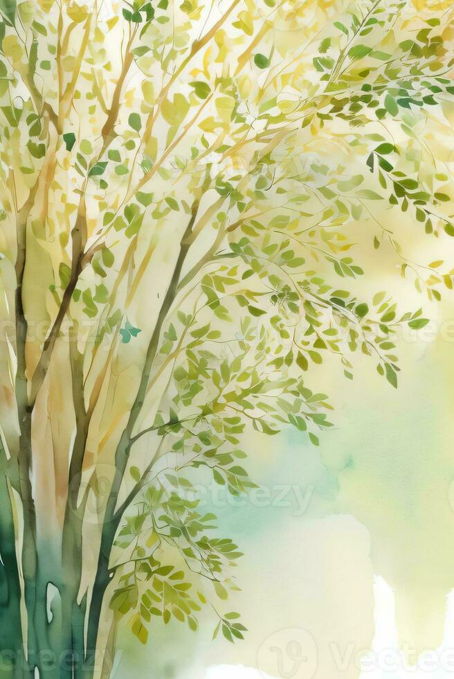 Lexury Watercolor Eucalyptus Background photo