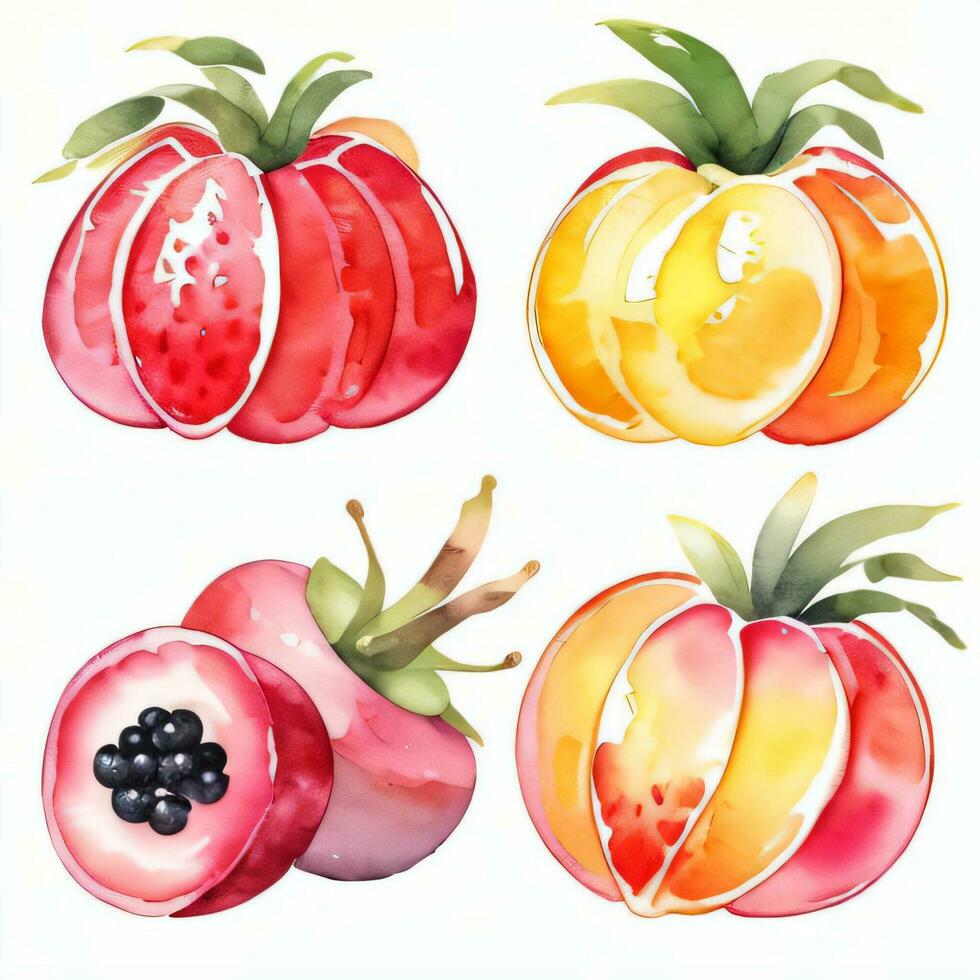 Watercolor Fruits Clipart photo